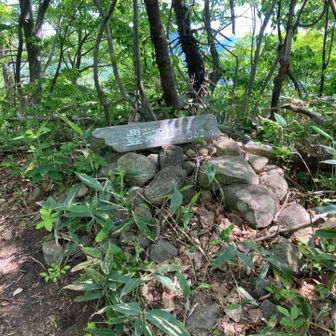 で、山頂へ。*\(^o^)/*