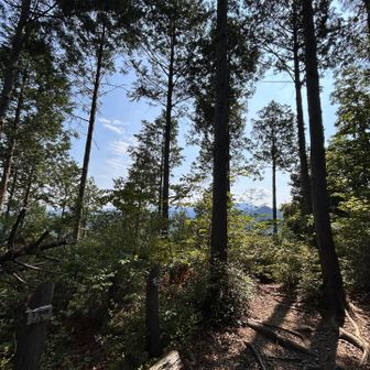 ずっと樹林帯🌳
それぞれのピークからも眺望はほぼなし😅
おかげでそこまで暑さは感じない。

ここ「学文峰」は合間に山が見えた😊