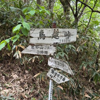 第二チェックポイント鳥越峠。まだまだ行けるとのこと。