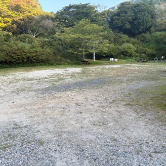 15台くらいは置けそう。