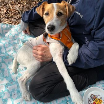 くつろいでます