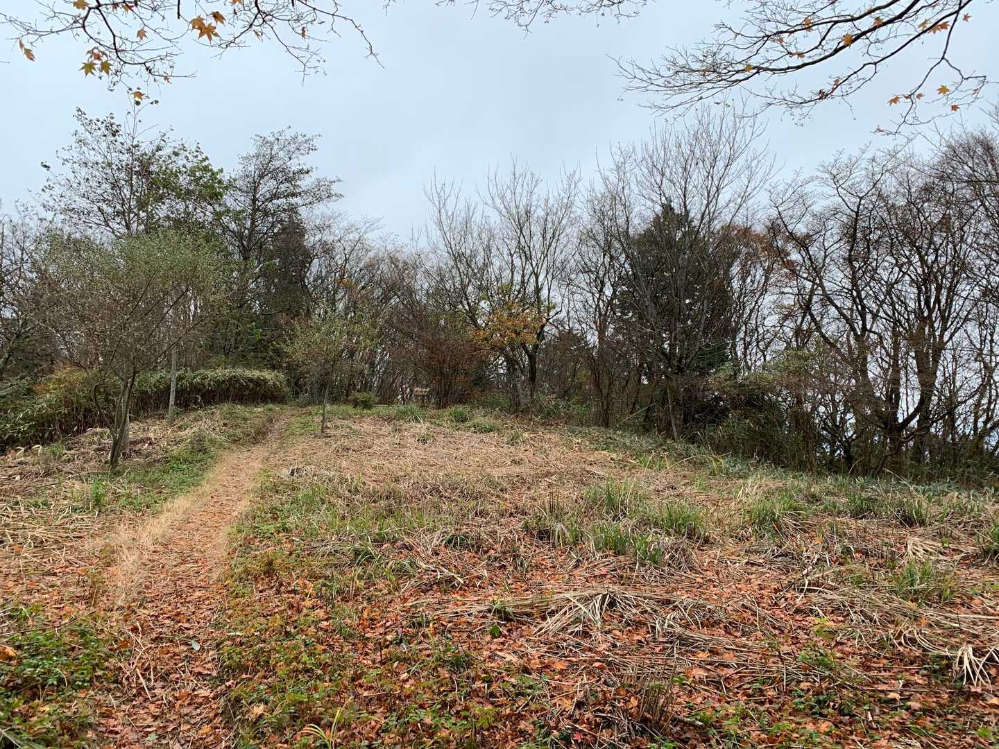 大日岳頂上のススキ🌾が刈られていました。
