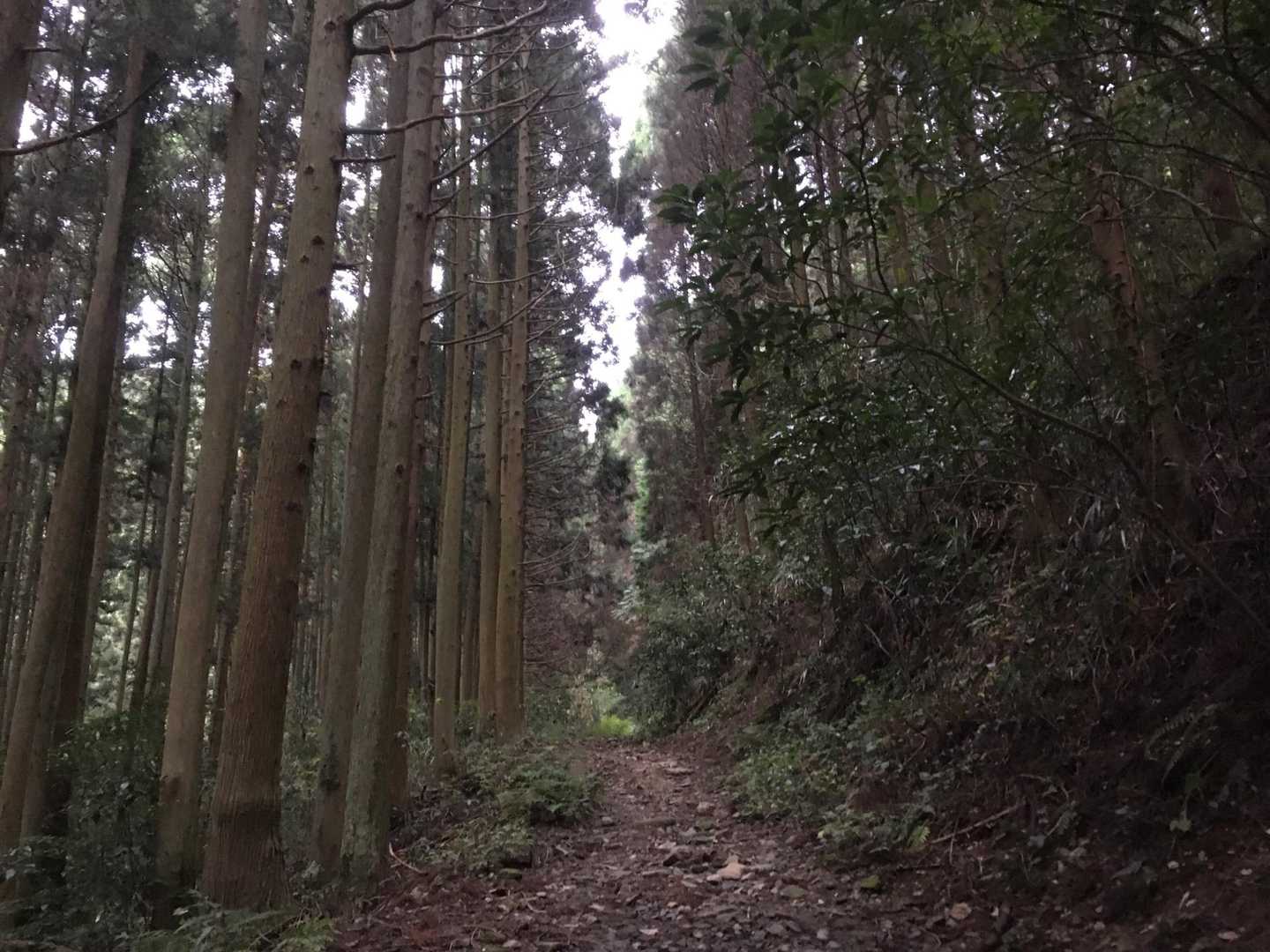 暗い
