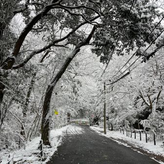 東坂登山口⛄️