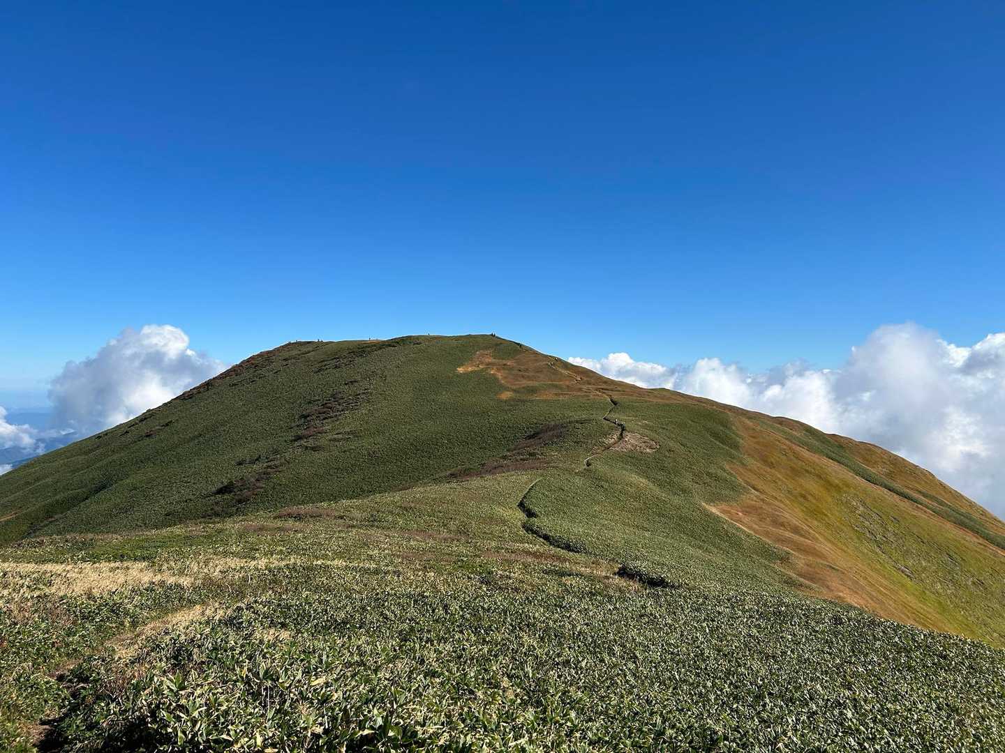 井戸尾根コース | 「ニセ巻機山」を越え、池塘と草原広がる織姫伝説の山頂への写真