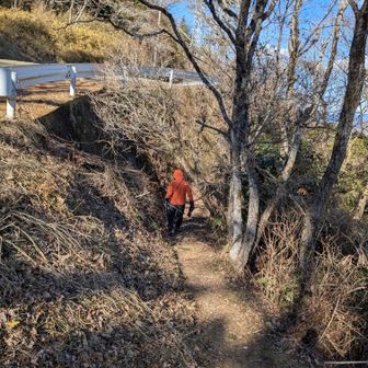 ここが分かりにくかった。
他の人達も迷ってて、思わず道を聞いてしまった
