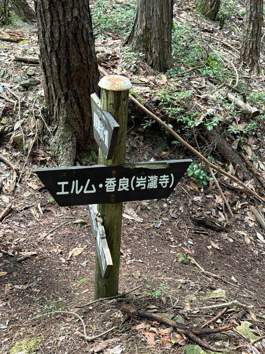 五台山-鷹取山-三和峠 周回コースの写真