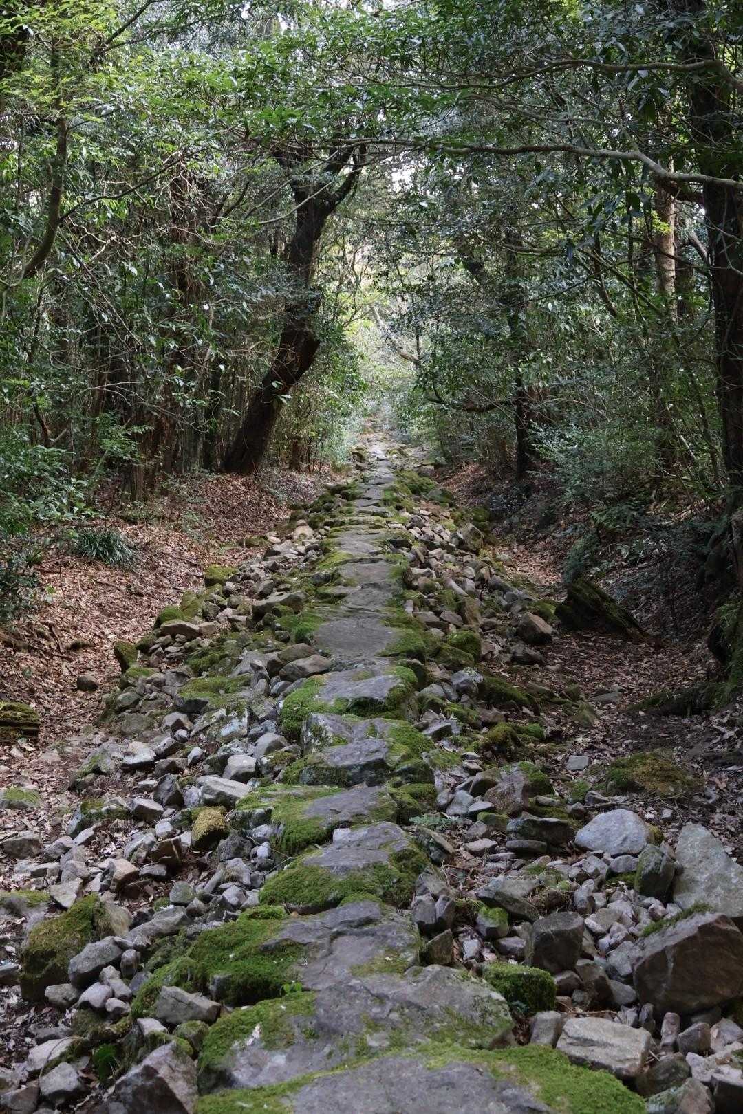 いつ頃積まれたのか分かりませんが、手積みなら大変だったことでしょう