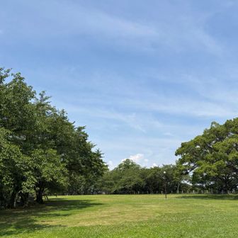 城山山頂
広大な空間は、静寂に包まれていました