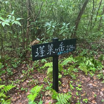 蓬莱ヶ岳にも来ました