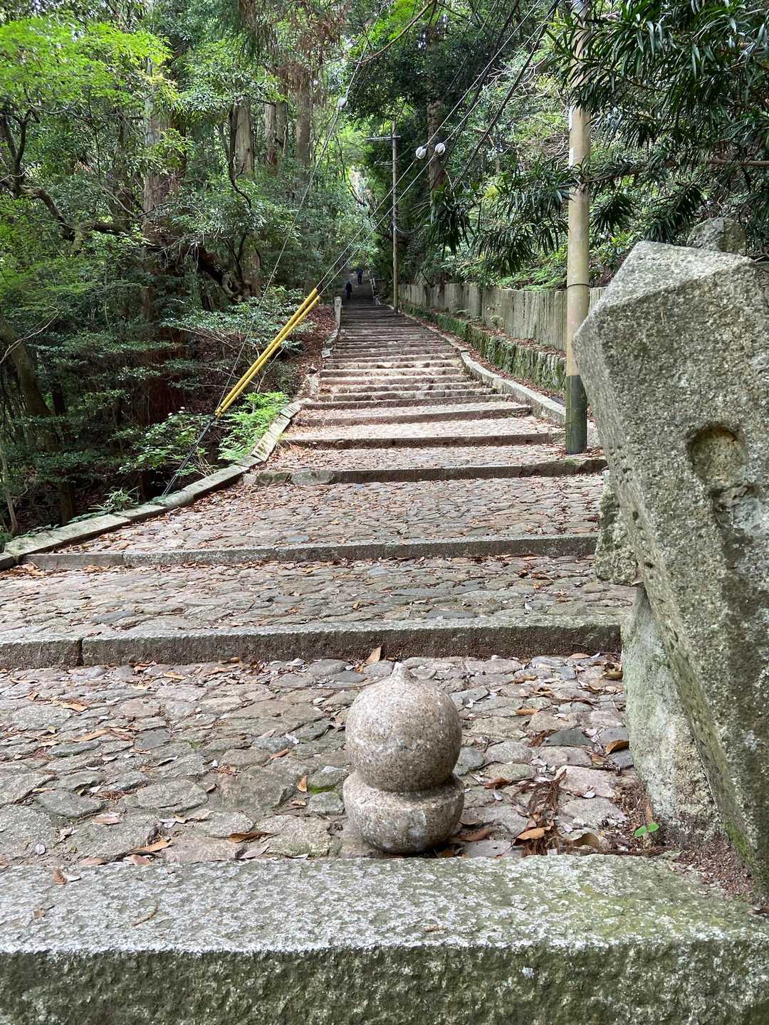 また階段。