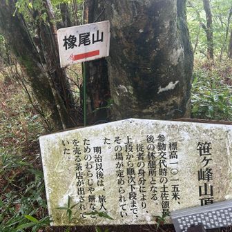 ふむふむ