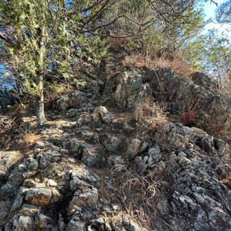 久しぶりの岩場
途中ロープもあります
