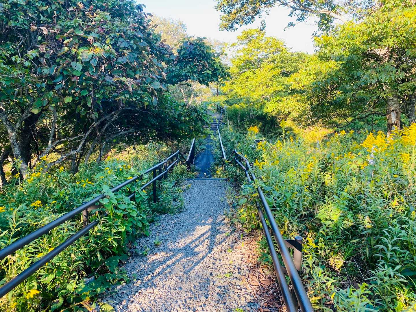 山頂はもう少し奥🚶‍♀️🚶
