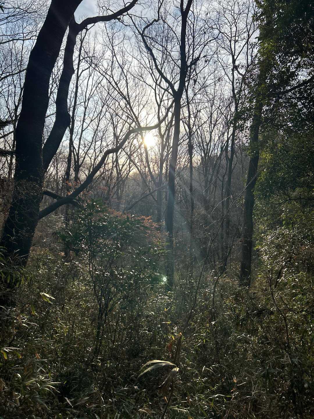 太陽🌞の光が眩しいな。
俺は今から山を登りに行くんだ。
山を登る前に…ちょっと寄ったの🌞

おい山登らねえか？笑