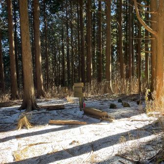 竜頭山の山頂✨