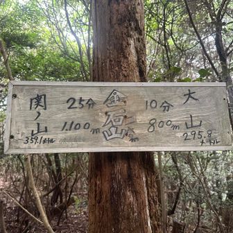 金石山⛰️までもどり
どちらから降りるか考えましたが
少し滑るので正面ルートから下山します