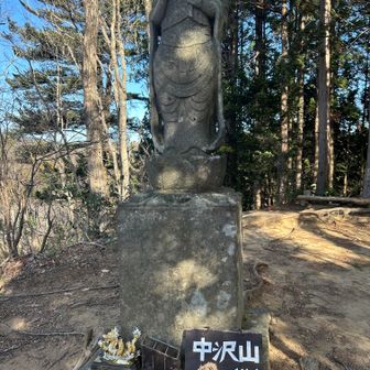 中沢山