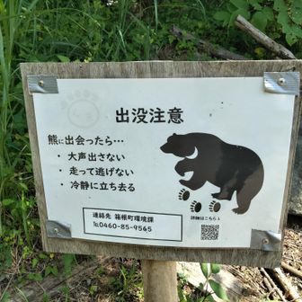 50歳から本格筋トレ＆登山