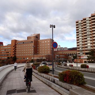 いよいよゴールが見えて来ました。