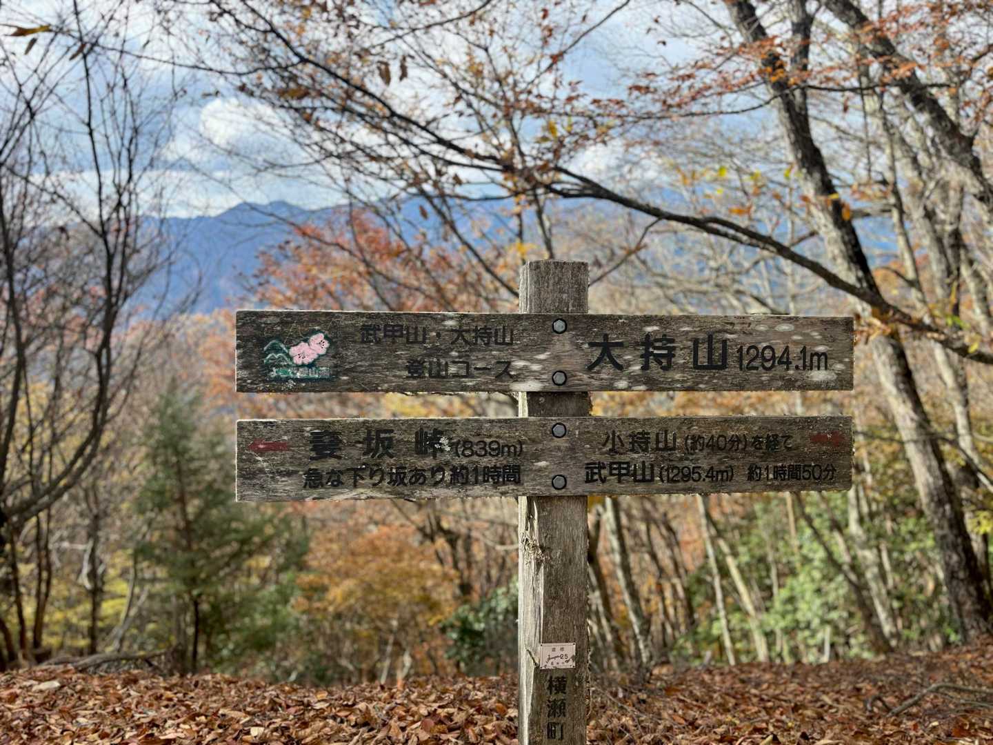 大持山
奥多摩の山々が見える