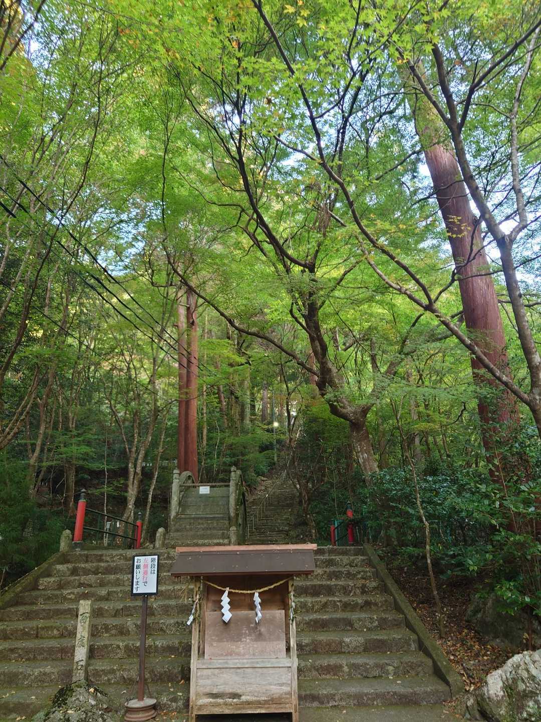 紅葉まではもうちょいや