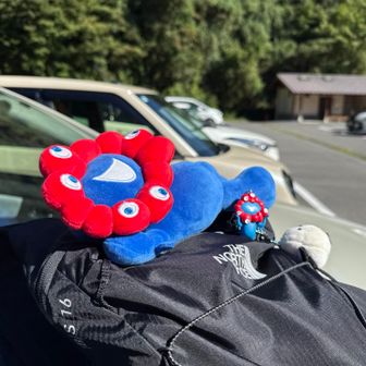 下山後もたくさんの車
ミャクミャク目当てで登ってる方もたくさん
グッズ持って来てる方もたくさん
いい雰囲気でした❤️💙

金剛山は犬連れの方もたくさんいて、愛犬が恋しくなりました🐶　