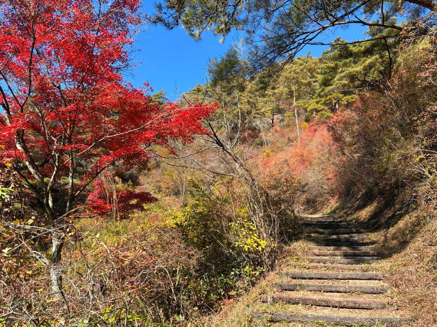 矢祭山 周回コースの写真