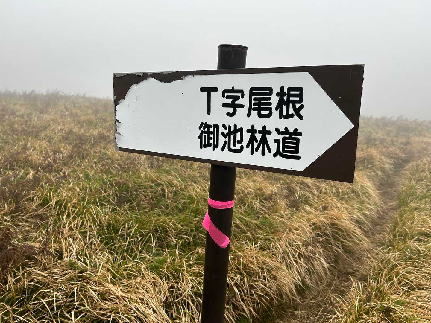 ガスってます…霧雨！？