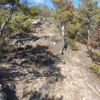 岩いわを登れー