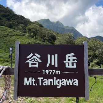 降りて来ましたよ