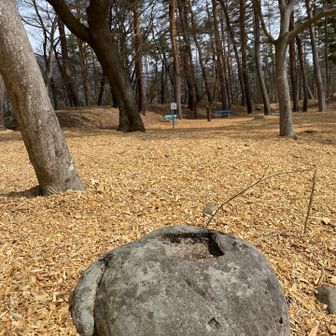 城跡🏯
柱の台座🤔が幾つもありました！