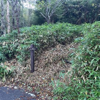 林道から入る登山口