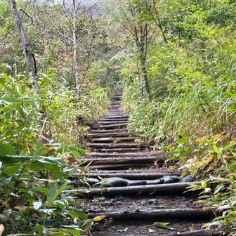 連休の計画を立てたのは2ヶ月ほど前です。

岩手の山ならこの人のを参考にしよう。
アイコンから始まり、している登山や写真、文章など全てが格好いいoosheeさんの日記を遡って2024年の記録を読んで下調べしておりましたが、今日覚えていたのはパートナーさんがサハラ砂漠のマラソンランナーだということだけ