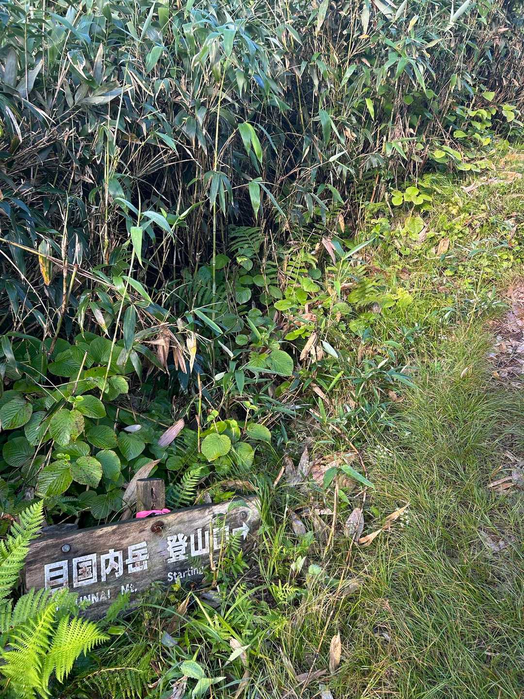 さー今日はふじさんと！ココから𝕃𝕖𝕥'𝕤 𝕘𝕠！