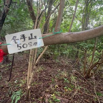名手山（なでやま）。読めなくもない。