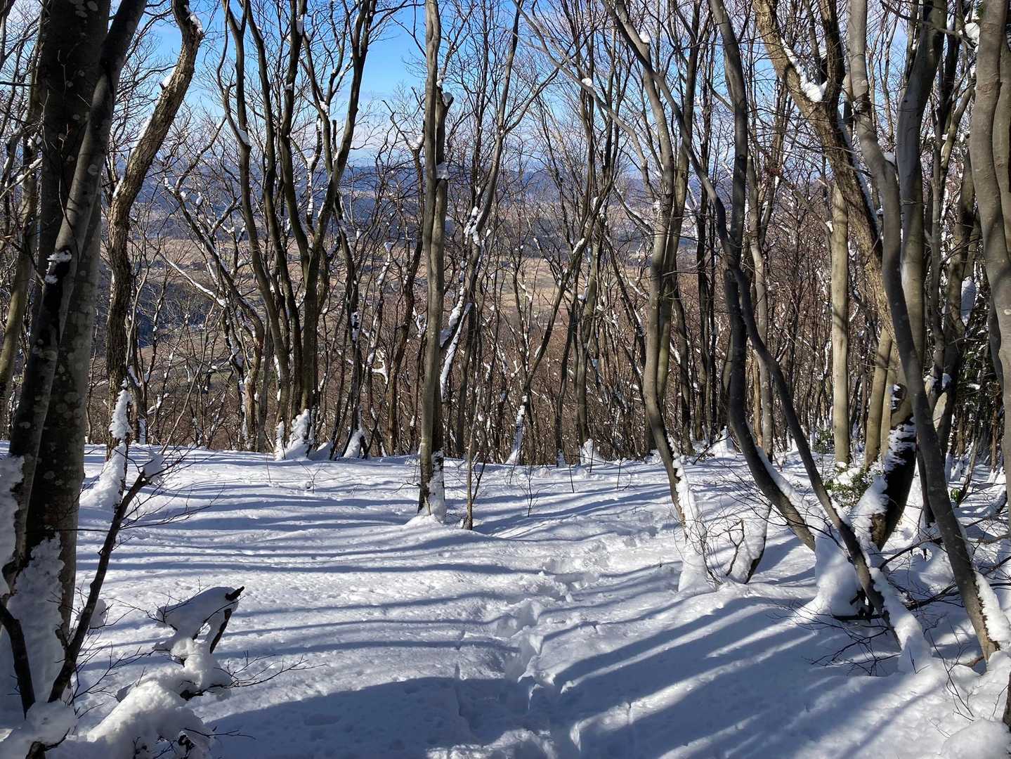木々の間から景色が見れるのが良い
気持ちいいわ