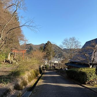 こんなに青空なのに風だけ強かった！