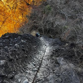 まだ下りるのー？😂
