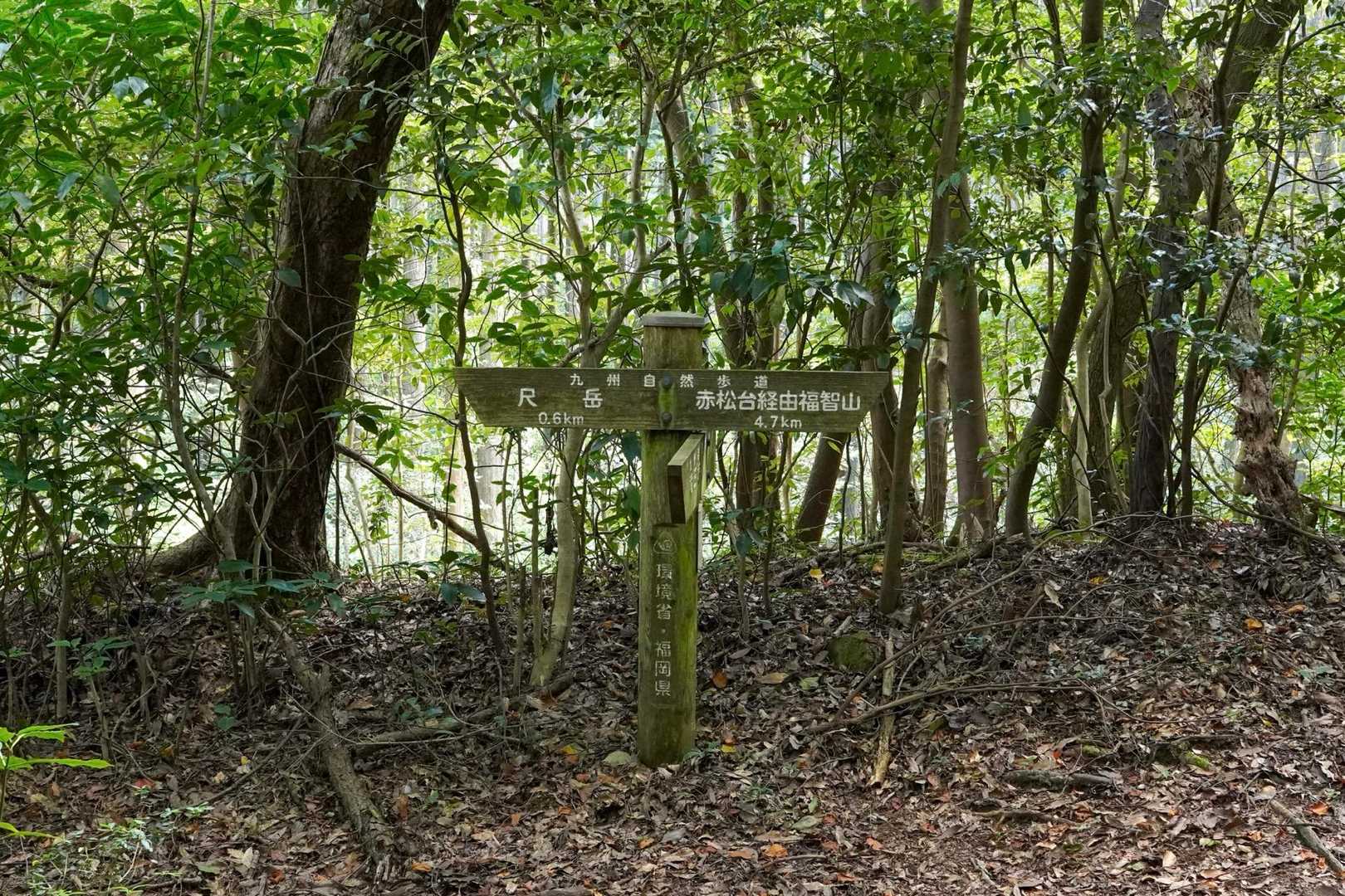 尺岳 周回コースの写真