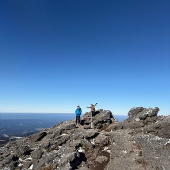 いつもお付き合いありがとう
