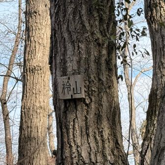 柃山の名票。どれもちっこいので探すのがイベントになってくる