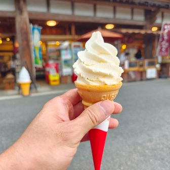 とりあえず🍦
まだまだ1000m以上下山するので、チャージです😋