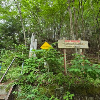 イザリ登山口に下山