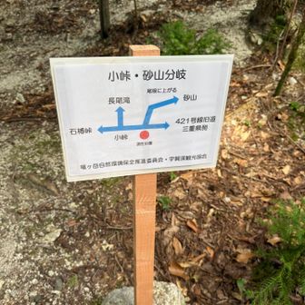 結局yamapのコースにないけど
アプリ上の踏み跡の多い道を進むことにした
ちょっとショートカットになったと思う