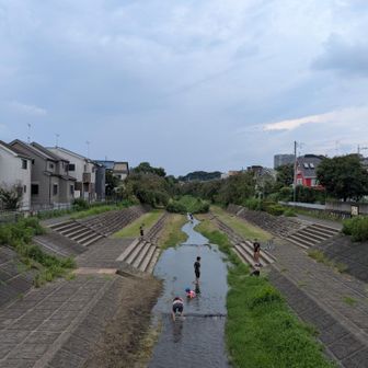 武蔵野公園の北側を流れる野川を渡る。