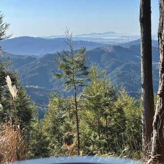 視界はそんなに開けていなくて、微妙に木が邪魔🌲🌲🪾💦