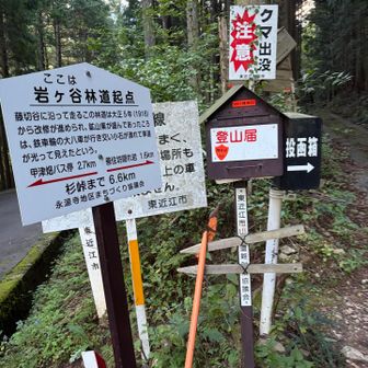 登山口
