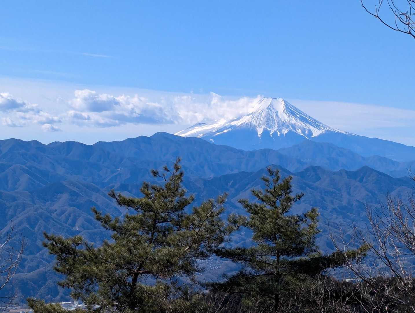 今日は、ここの富士山が
一番のお気に入り☺
