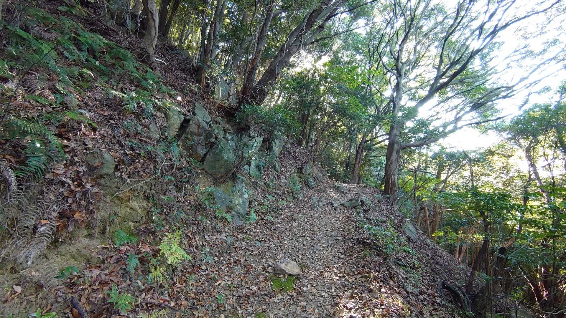 太華山 往復コースの写真